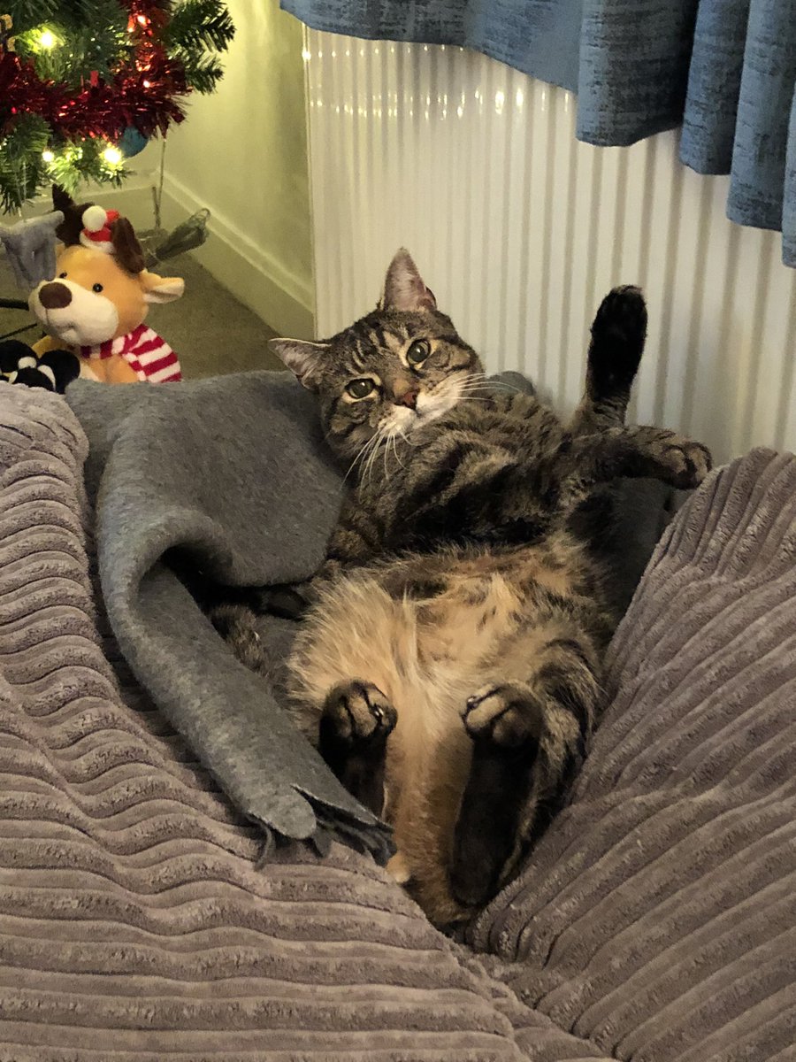 Squeezy and The Chubblemaker Pablo Whiskobar 🌈 tweet media