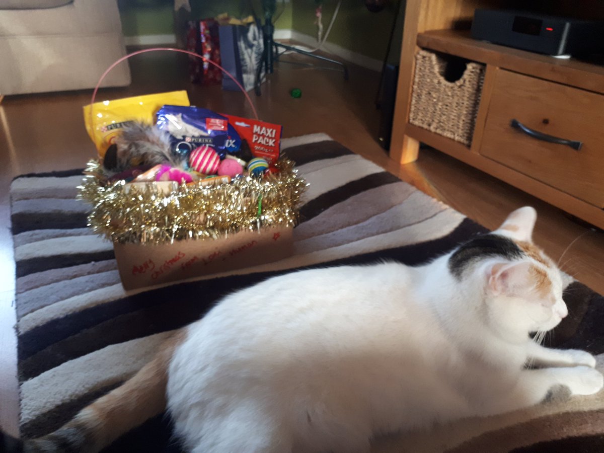 local cat rescue centres