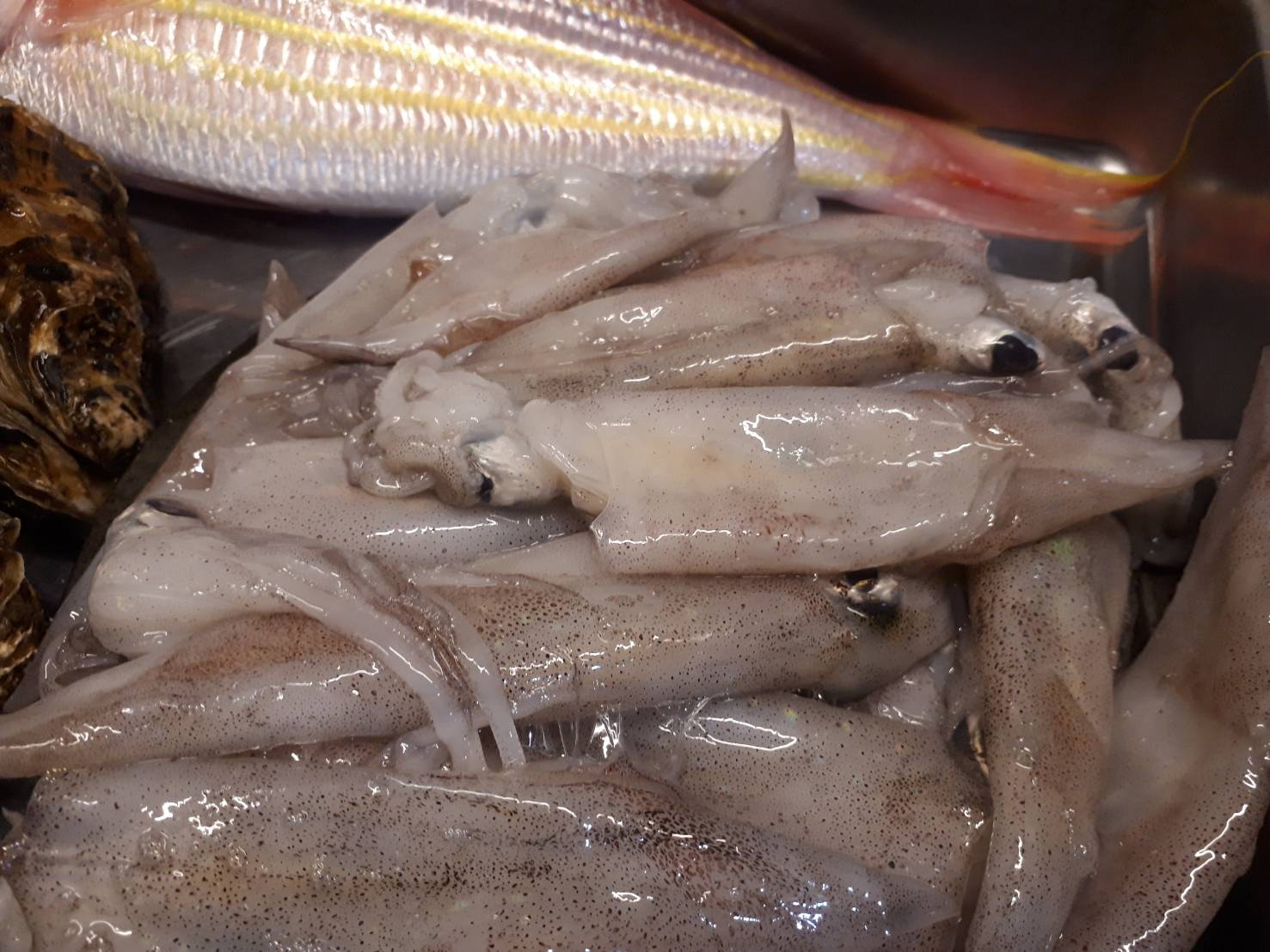 Taverna Tukka 穴子のアヒージョ 本日のおすすめ 穴子 がブリッブリ 鮮魚のカルパッチョ は イトヨリ 牡蠣 は 赤崎産 生牡蠣 か グラタン で ヒイカ は アヒージョ に 穴子のアヒージョ イタリア料理 スペイン料理 南欧料理 地中海料理 Taverna Tukka 穴子のアヒージョ 本日のおすすめ 穴子 がブリッブリ 鮮魚のカルパッチョ は イトヨリ 牡蠣 は 赤崎産 生牡蠣 か グラタン で ヒイカ は アヒージョ に 穴子のアヒージョ イタリア料理 スペイン料理 南欧料理 地中海料理