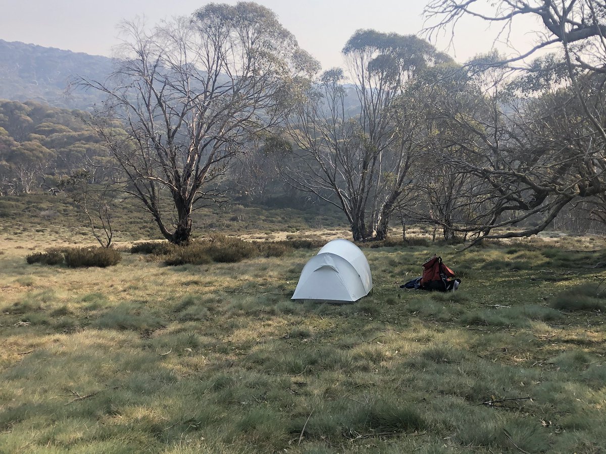 Tonight’s campsite. Yeah that’s bambi behind the trees checking me out, and the top station of the Kosciuszko Express Chairlift at Thredbo looking the other way. For some reason I feel like venison  #AAWT