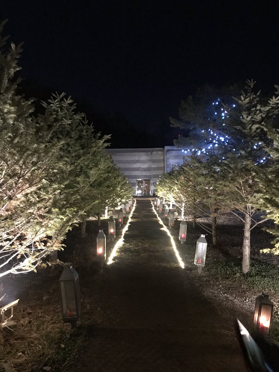 lsun37's tweet image. 