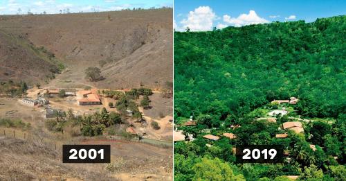 Limportant_fr's tweet photo. Ce couple a planté 2 millions d'arbres en 20 ans pour recréer une forêt: les animaux sont de retour https://t.co/rQK42cUjKz #Rediff https://t.co/rUbevSHK04