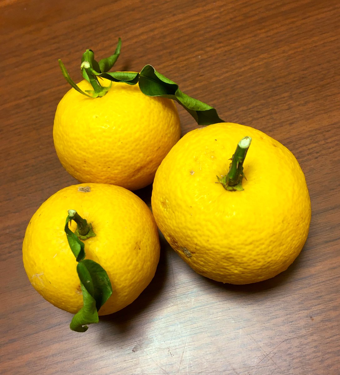 一大事きょうこ そうそう そうなんです 牛乳とレモン汁でもヨーグルト状になりますもんね 今回はこのレシピのように出汁を入れたんですが スイーツの方向にも持っていけそうです 是非お試しください T Co 3grgglagji