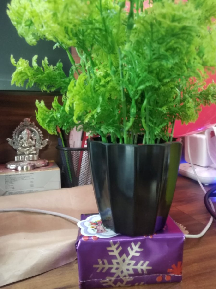 A lovely thing about Christmas is that it brings everyone together. Enjoy the day. Celebrate the Wonder and the Joy of the Festive Season. Merry Christmas!