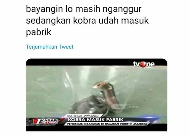 Eko_P_Putra's tweet photo. Owh O.K eleh ku kobra https://t.co/GD87vdo88D