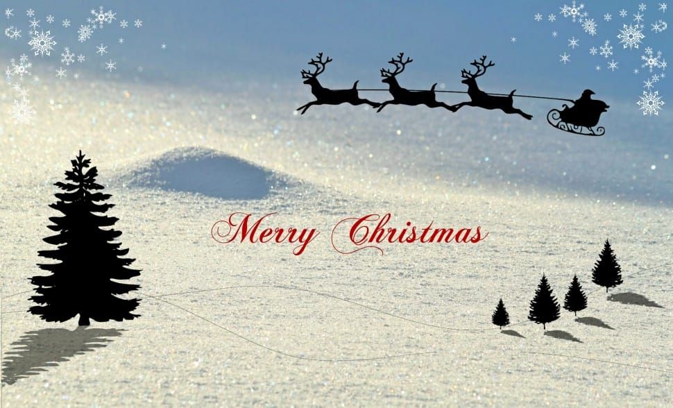EEEInnovations's tweet photo. Me EEE:llä haluamme toivottaa oikein hyvää joulua kaikille! We with EEE wish you all  Merry Christmas! https://t.co/gbCUmJNsJS