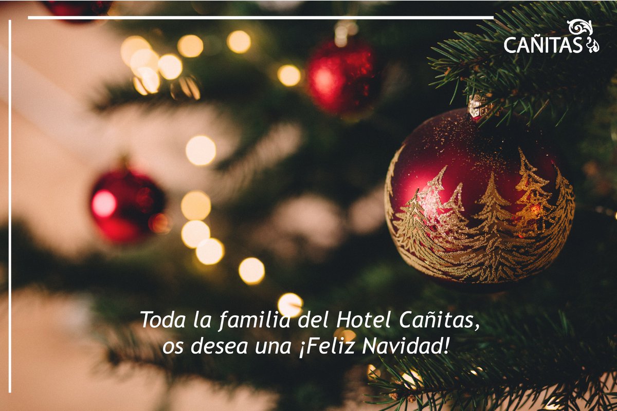 HotelCanitas's tweet photo. De parte de todo el equipo del @HotelCanitas, os deseamos una ¡Feliz Navidad! Que la felicidad inunde vuestros hogares en estos días. #Navidad2019 #FelizNavidad #HotelCañitas #LaManchuela #CasasIbáñez https://t.co/ZQN4FDBOjD