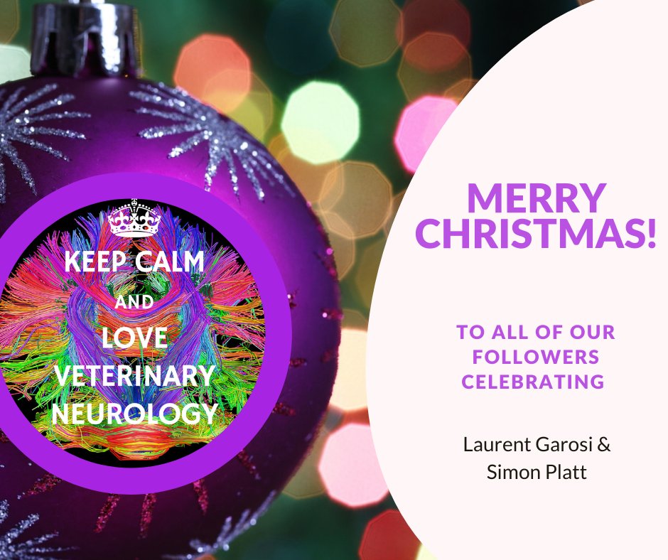 Veterinary Neurology (@veterinaryneur1) on Twitter photo 
