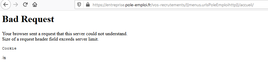 InfoPromete's tweet photo. Coup de gueule contre le site @pole_emploi qui est ENCORE en rade ! Mmes&amp;Mrs du @gouvernementFR, comment voulez vous qu'on y arrive dans ces conditions ? !😤 https://t.co/xQVKKrZQyP