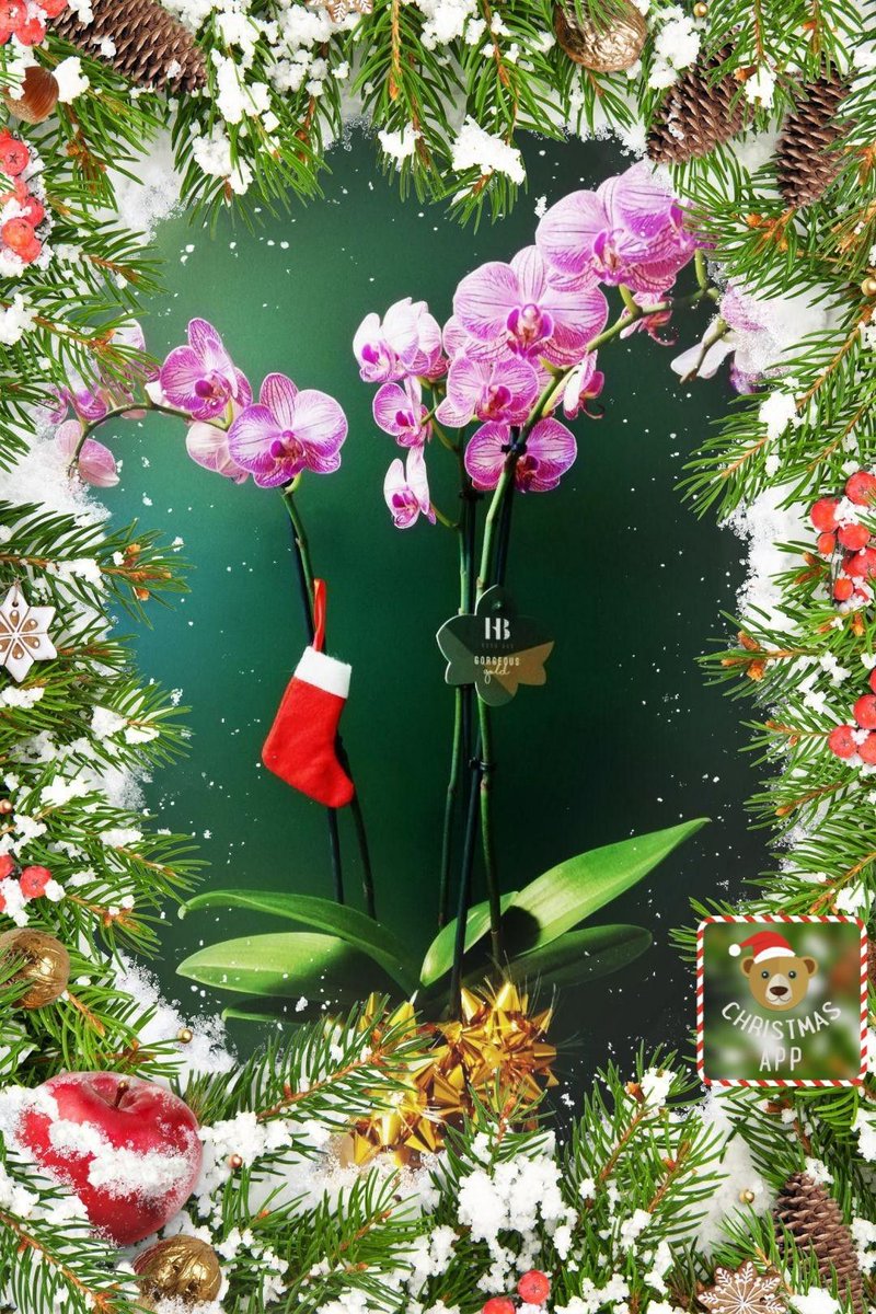 Have a nice Holiday!