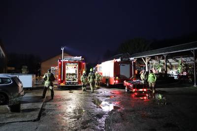 Brandweer bevrijdt twee koeien uit put op Landgoed Biljoen in Velp ..
