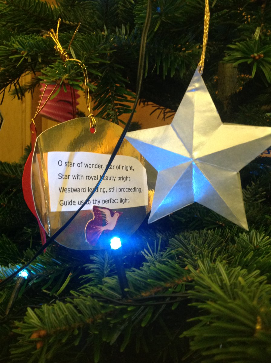 Ed Xmas Tree Fest tweet media