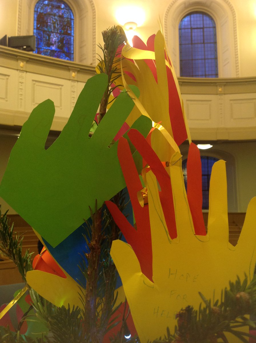 Ed Xmas Tree Fest tweet media