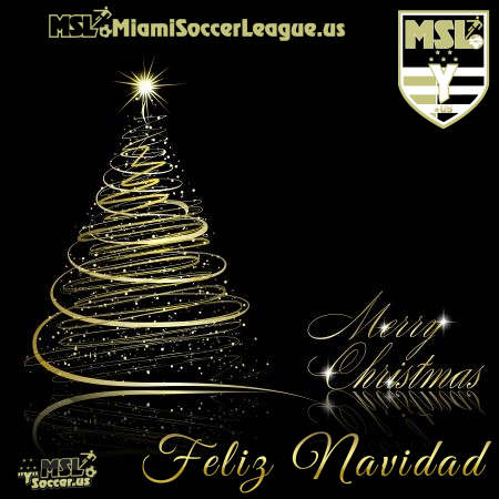 MSLSoccer Y (@mslsoccery) on Twitter photo 
