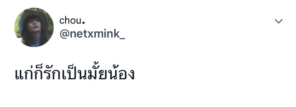 มแมว tweet media