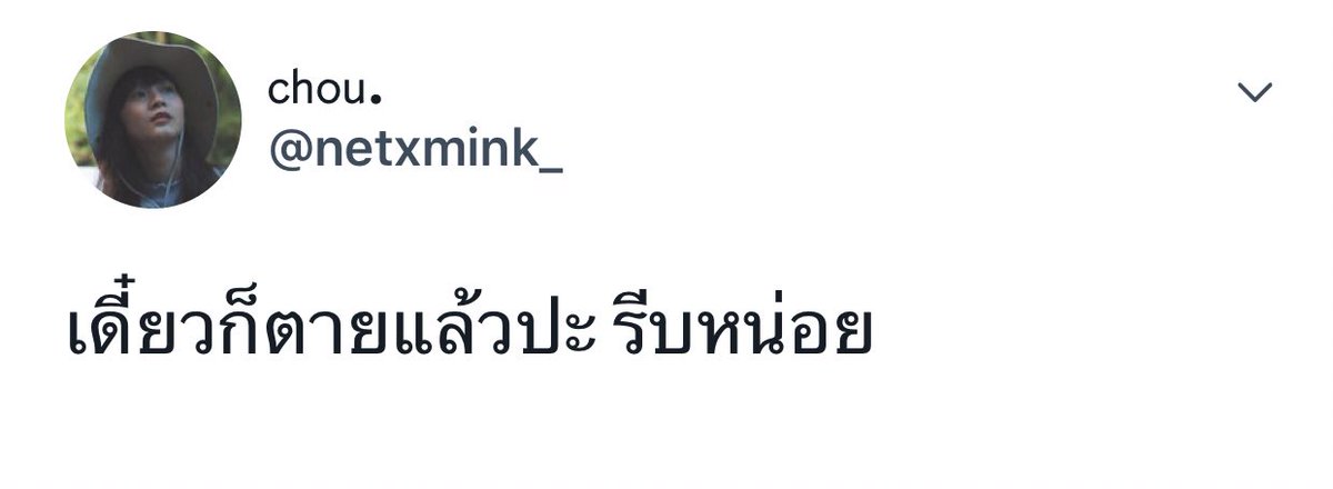 มแมว tweet media