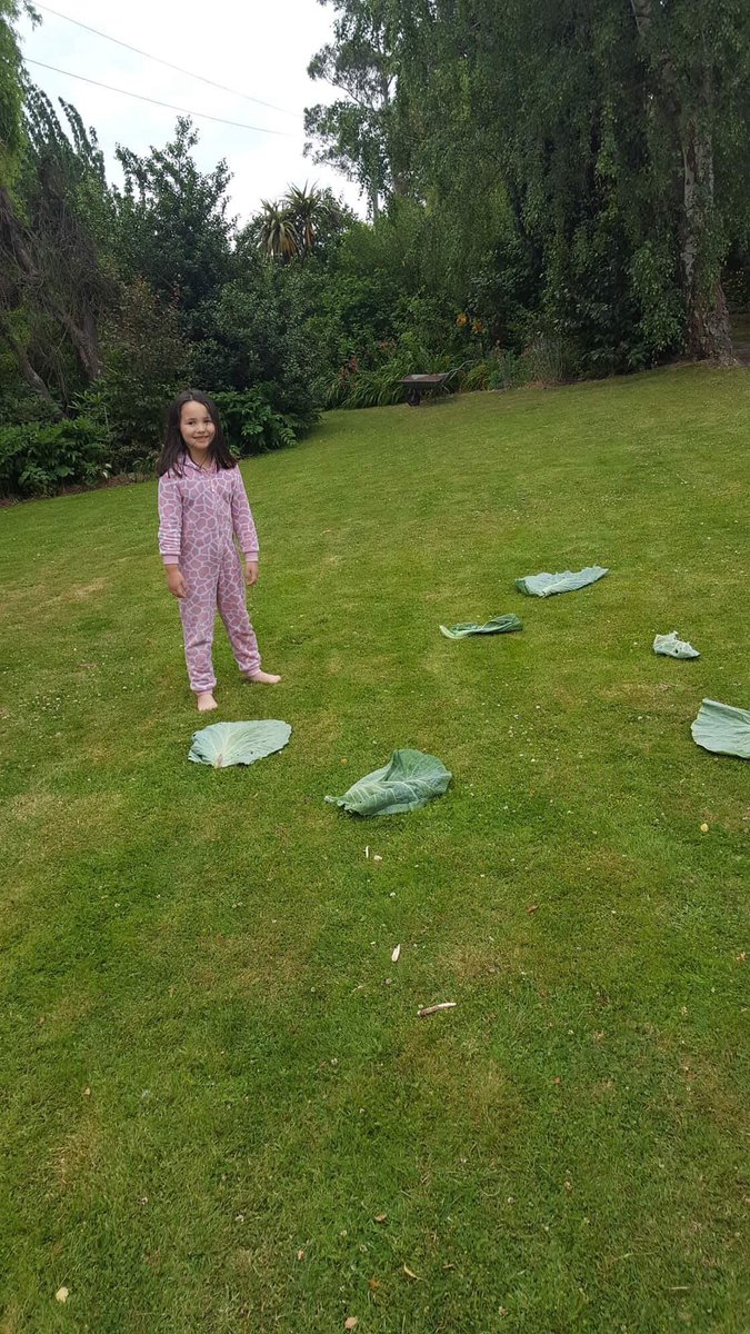 ancientchildren's tweet photo. Got sent photos from sister and my 5 year old leaving food for reindeer and Santa #xmaseve #fieldwork #missingchristmas https://t.co/ySdGW48EMp