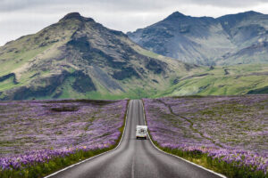 EHGIberica's tweet photo. Os presentamos nuestras cuatro opciones para disfrutar en autocaravana la Nochevieja de una forma diferente. Parques Naturales, paisajes dramáticos, campings donde disfrutar de buenas instalaciones.

https://t.co/wNQmOcbmTF https://t.co/Vq9BIo1zj2