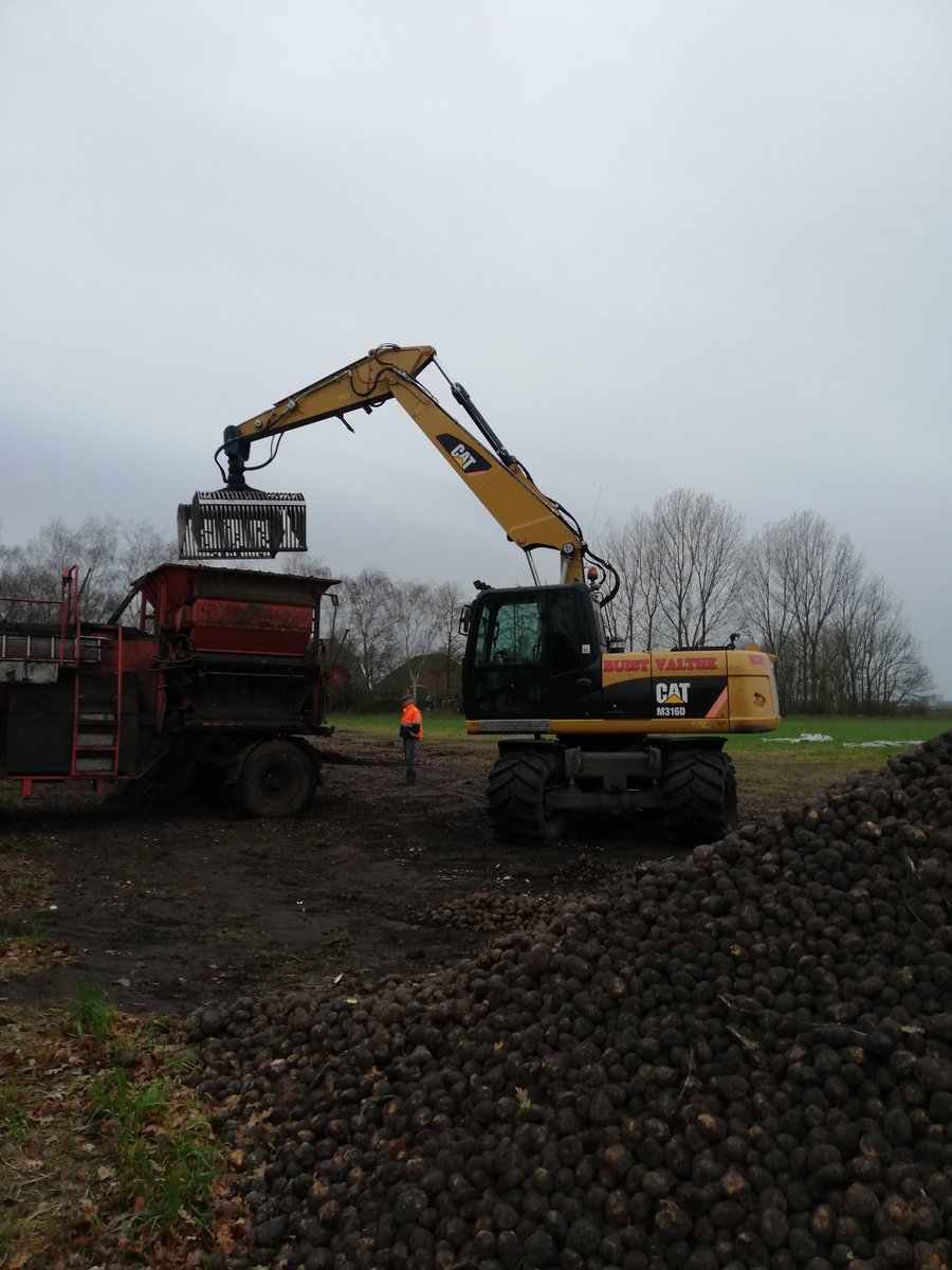 Aardappels laden Altus en Avarna's naar lokatie Oostermoer #Viersentransport #Buist@Avebe_group