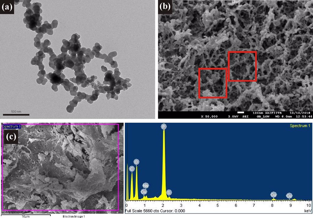 Dr.Vinod Saharan (@nanoagriculture) on Twitter photo Our new paper #Chitosan #Nanofertilizer, a biodegradable and #slowreleasing option for sustained nutrient supply to crop.
doi.org/10.1016/j.ijbi… <a href="/DBTIndia/">Department of Biotechnology</a> <a href="/IndiaDST/">DSTIndia</a> <a href="/icarindia/">Indian Council of Agricultural Research.</a> <a href="/CIMMYT/">CIMMYT</a> <a href="/teriin/">TERI</a> <a href="/AdamaAgri/">ADAMA Ltd.</a> <a href="/RenuSwarup/">Dr. Renu Swarup</a> @Deepa26836653 @IFDCnews <a href="/FertilizerNews/">International Fertilizer Association</a> Our new paper #Chitosan #Nanofertilizer, a biodegradable and #slowreleasing option for sustained nutrient supply to crop.
doi.org/10.1016/j.ijbi… <a href="/DBTIndia/">Department of Biotechnology</a> <a href="/IndiaDST/">DSTIndia</a> <a href="/icarindia/">Indian Council of Agricultural Research.</a> <a href="/CIMMYT/">CIMMYT</a> <a href="/teriin/">TERI</a> <a href="/AdamaAgri/">ADAMA Ltd.</a> <a href="/RenuSwarup/">Dr. Renu Swarup</a> @Deepa26836653 @IFDCnews <a href="/FertilizerNews/">International Fertilizer Association</a>