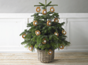 Merry Christmas from the Team at Lantmännen Unibake!🎄