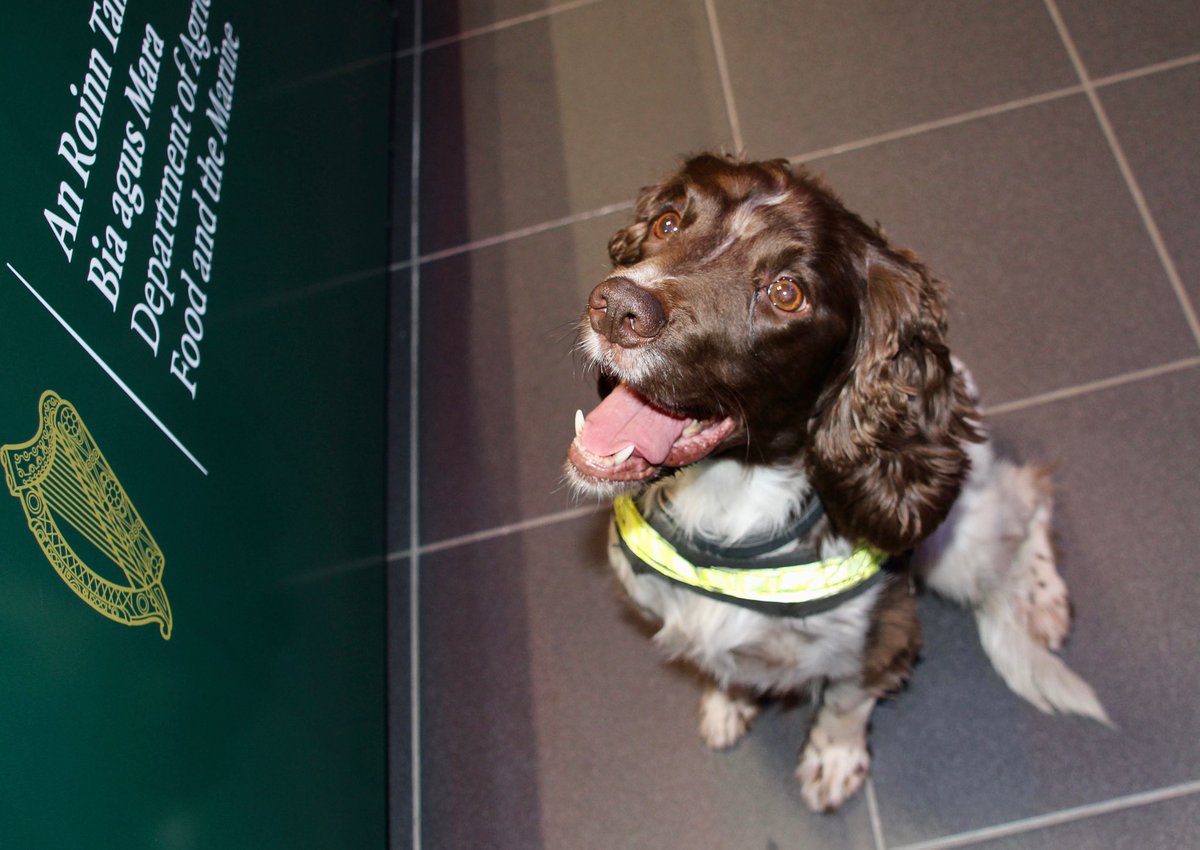 Dept of Agriculture, Food and the Marine tweet media