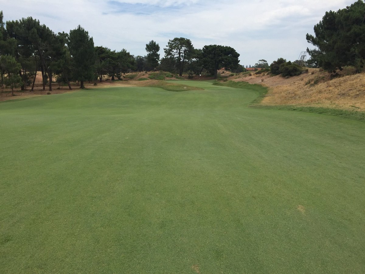 smb_72's tweet photo. The 3rd @RoyalAdelaideGC one of Mackenzie’s finest and looking back at the 5th from the 6th #roughsup https://t.co/94Y5f3Z2zW