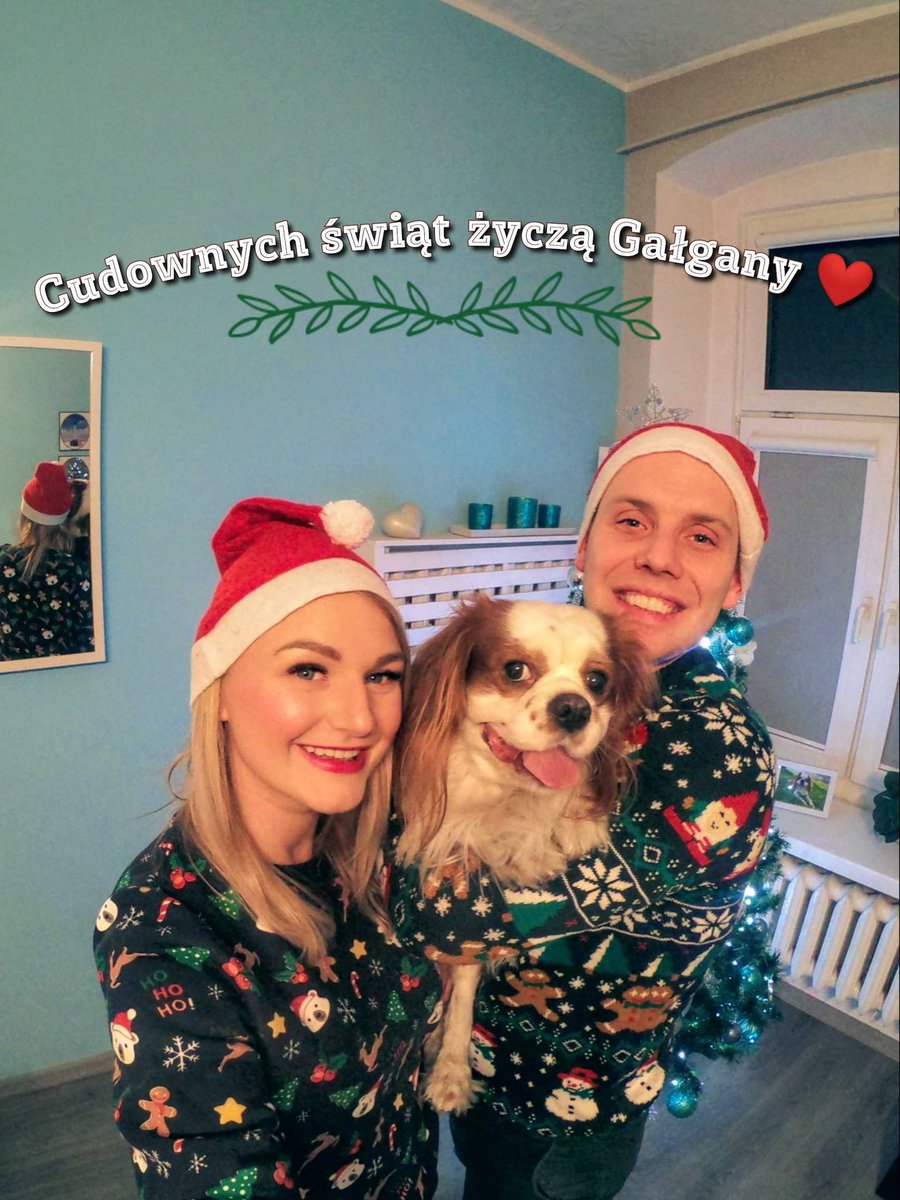 _CookingMonster's tweet photo. Kochani, życzymy Wam spokojnych, rodzinnych, wypełnionych uśmiechem, radością i miłością świąt! 🎄
Gałgany ❤
@minik_runoholic #cavalierJimmy #wesołychświąt #MerryChristmas https://t.co/FOjLwEC3nW