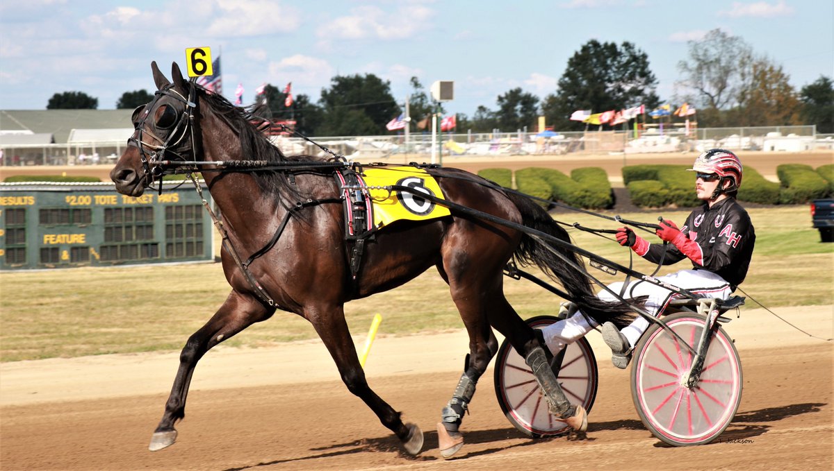 hoosiernations's tweet photo. Good Morning @R_ERacing @chadmoore1976 @JaymeLaing @RustyVorhees @TheBurgh12 @Harrison_LeVan @Chris_wponies @joe_norte @kimberlymoier @KathleenBaitzel @rebelsart @JoannKi32885615 @elliotgordon2 @vnssa926 @SadandSulk @jtlburn @GlenPeckinpaugh #MissionVoyage #AlexHawk #LBJ https://t.co/j7OMB3fQI5