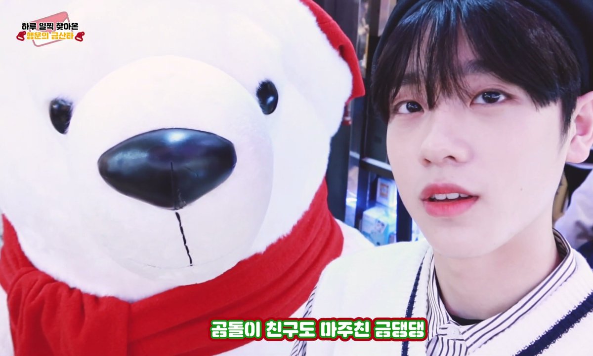 keumyworld's tweet photo. 항상 동물친구들을 지나치지 못하는 금댕댕 https://t.co/0PKNTyFbmD