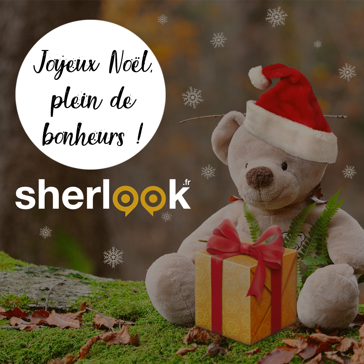 Suivez-nous sur : 
-Instagram : instagram.com/sherlook.fr/?h…
-Facebook : facebook.com/Sherlook.fr/
-Twitter : x.com/Sherlook_fr

#JoyeuxNoel #Sherlook #Objetstrouvés #Objetsperdus #Feelgood  #générateurdebonheur