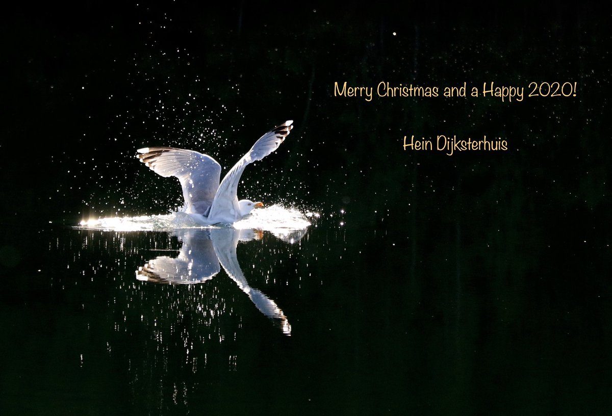 Wishing you all the best for 2020
