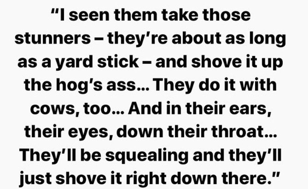 Where #bacon comes from. #govegan