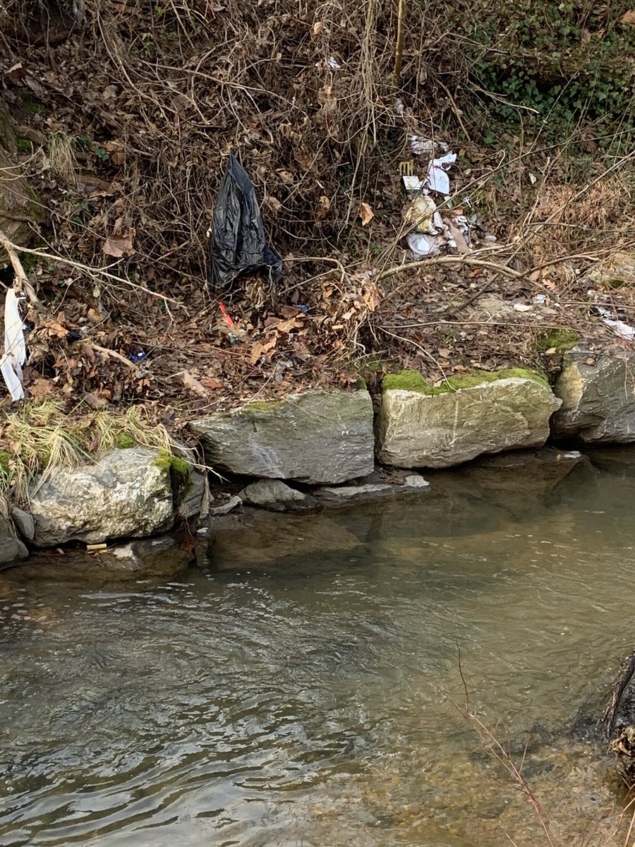 pickelodeon's tweet photo. Marvin Gaye trail between Division and 58th covered in trash. Please send a cleanup crew and add more trash cans @DCDGS @311DCgov @DCDPR @CleanCityDC @WashingtonParks #trashfreedc https://t.co/pgTnB36vHt