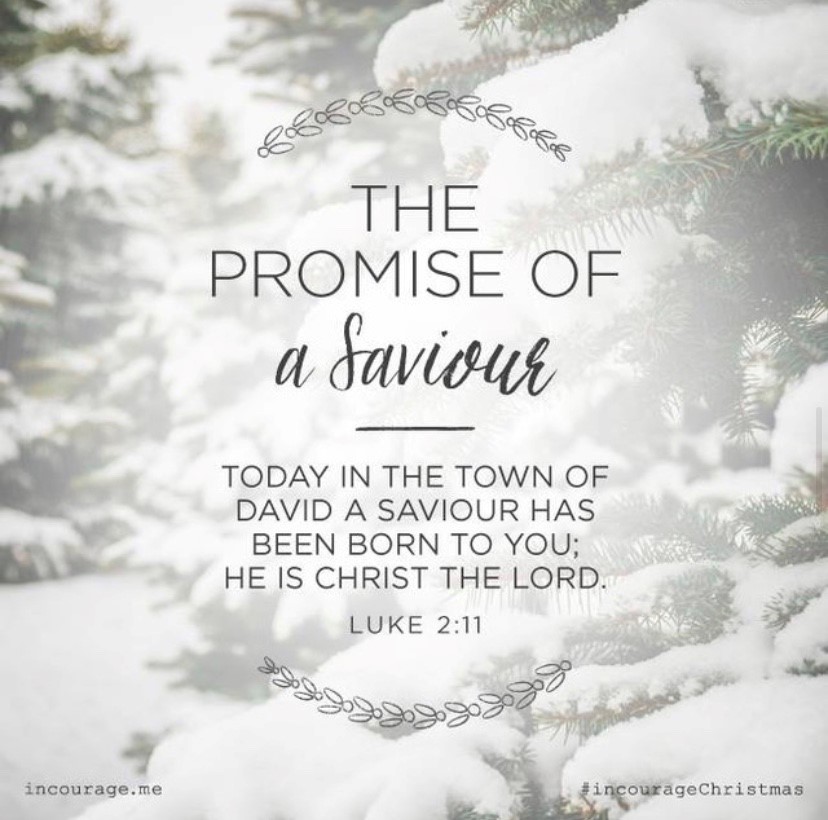 RehobothAlberta's tweet photo. Our wish for you, is that you can enjoy the wonder and joy of this Christmas season with your loved ones and dear friends. Merry Christmas, from all of us at Rehoboth Christian Ministries Association! https://t.co/5CGGMQcTas
