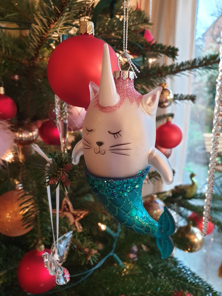 ahugi's tweet photo. special x-mas wishes to my very special @narwal_pr team!! happy narwal and season's greetings!!! #BlockchainPR #narwalPR #narwhale https://t.co/T0OYSmvWA2 https://t.co/jSjq5tZaBj