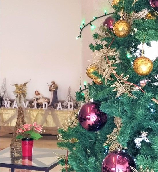 VitalclassLanza's tweet photo. Desde Vitalclass Lanzarote os deseamos una muy Feliz Navidad!
#Vitalclasslanzarote #Feliznavidad #Merrychristmas #Lanzarote #hotelvacacional #familyfriendly #healthandbeauty #travel https://t.co/i3jQ9wqgGE