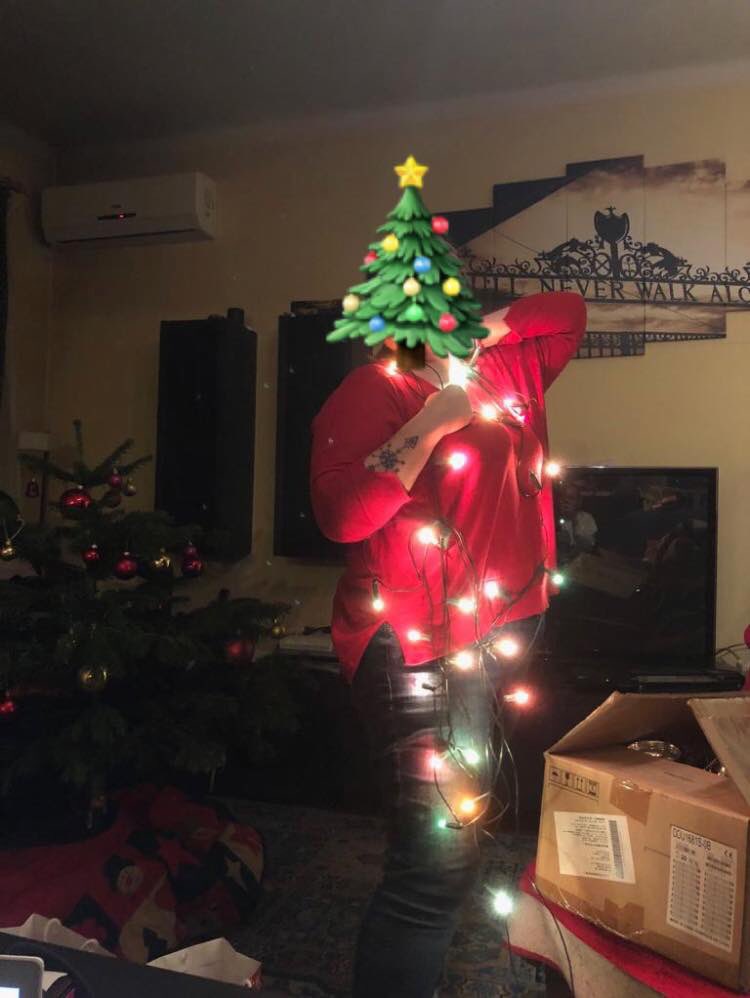 andreeabr1's tweet photo. May the jokes about Brad(which means “Christmas tree”) begin! 
Merry Christmas everyone and enjoy the holidays! 🎄♥️ https://t.co/S6lh0LF6gU