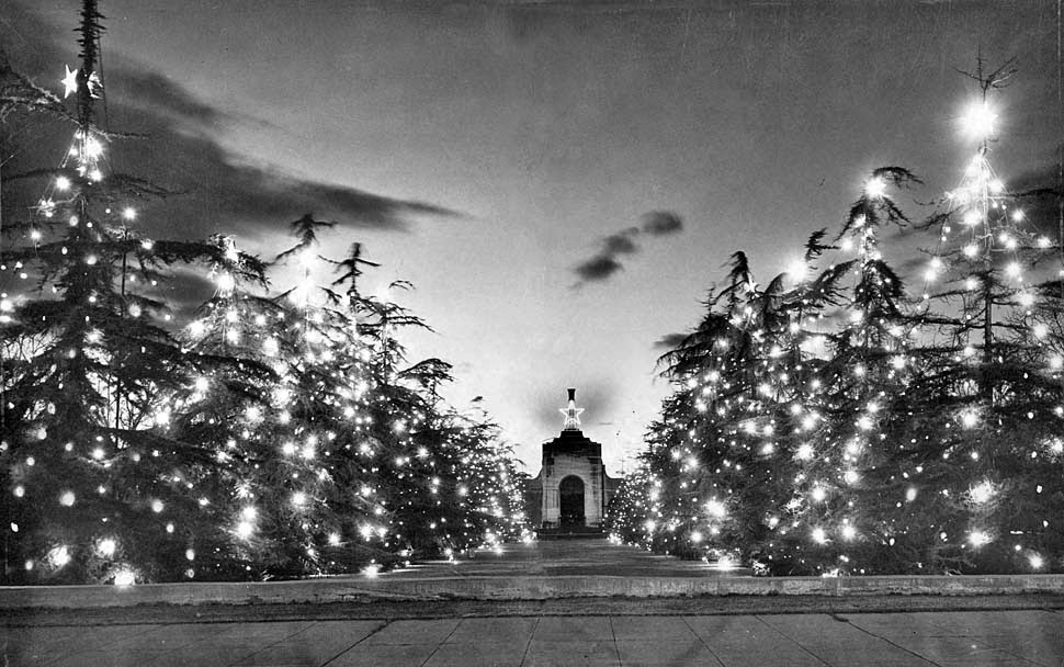 TurnbullMartin's tweet photo. Decorated Christmas trees form a twinkling wonderland in front of the Los Angeles Memorial Colosseum, December 19, 1949. This photo makes me want to break out into βHave Yourself a Merry Little Christmas.β #XmasInLA #LosAngelesHistory https://t.co/7vQWasUz2n