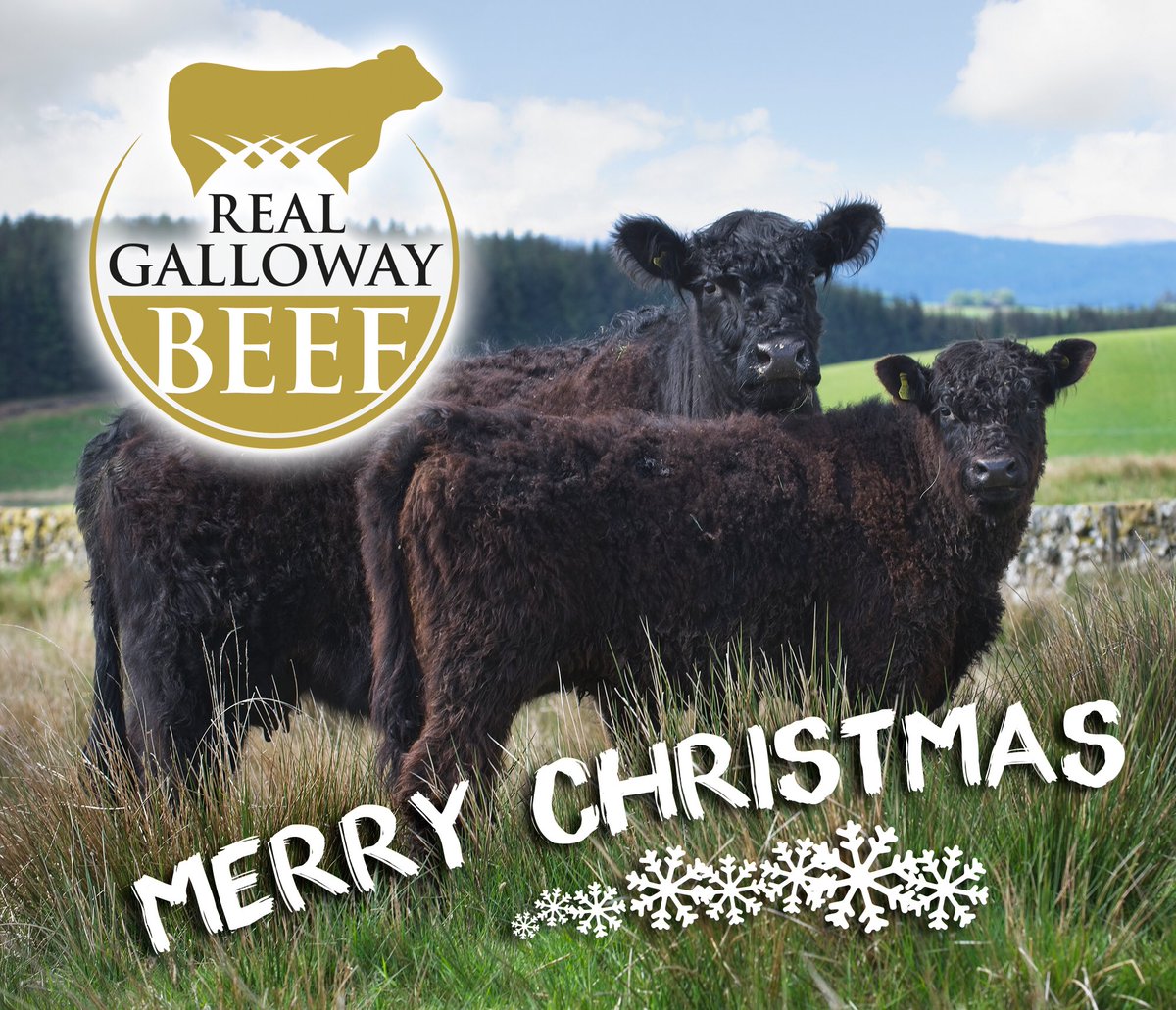 Thank you for supporting Galloway Beef this year. Wishing you a very happy Christmas and a 2020 that’s filled with good things.