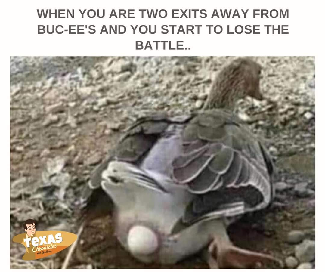 Russell Reed tweet media