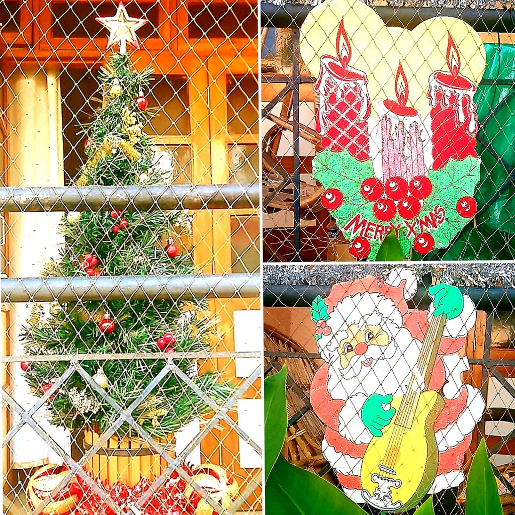 Vishwas patil images of christmas