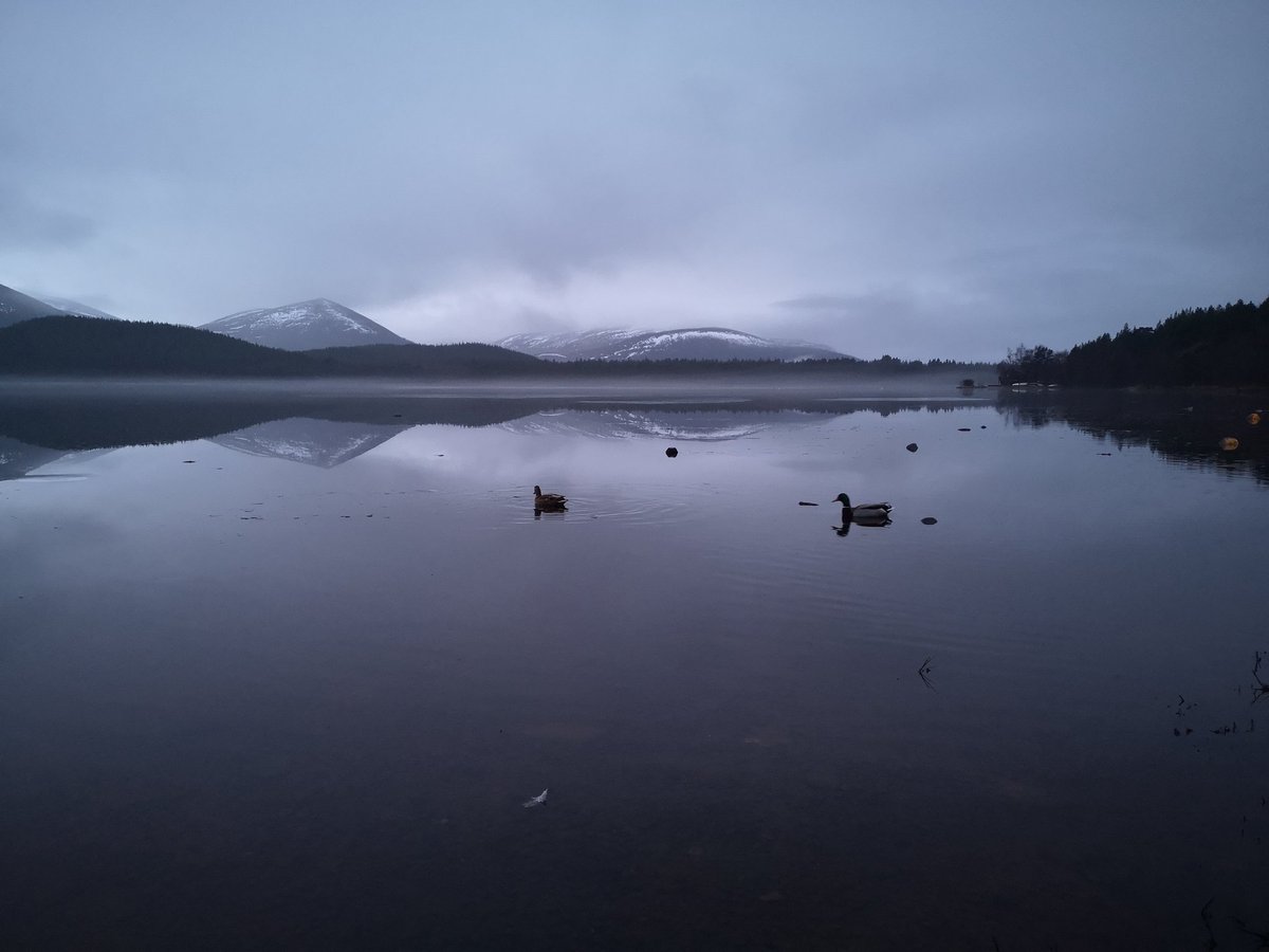 DelNewlands's tweet photo. Perfect morning ❄️💙 #Highlands #ice reflection #mountains #ducks https://t.co/xRtVnoeW1P