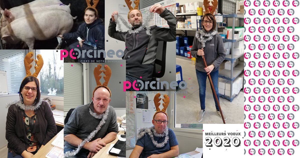 ClemePorcineo's tweet photo. Hey hey toujours pas de #greve24decembre 

Le groupement PORCINEO @YoannGermain1 @PPorcineo  vous souhaite un très #JoyeuxNoel et de #JoyeusesFetes 

#mescochonsetmoi https://t.co/jPfOv5jWee