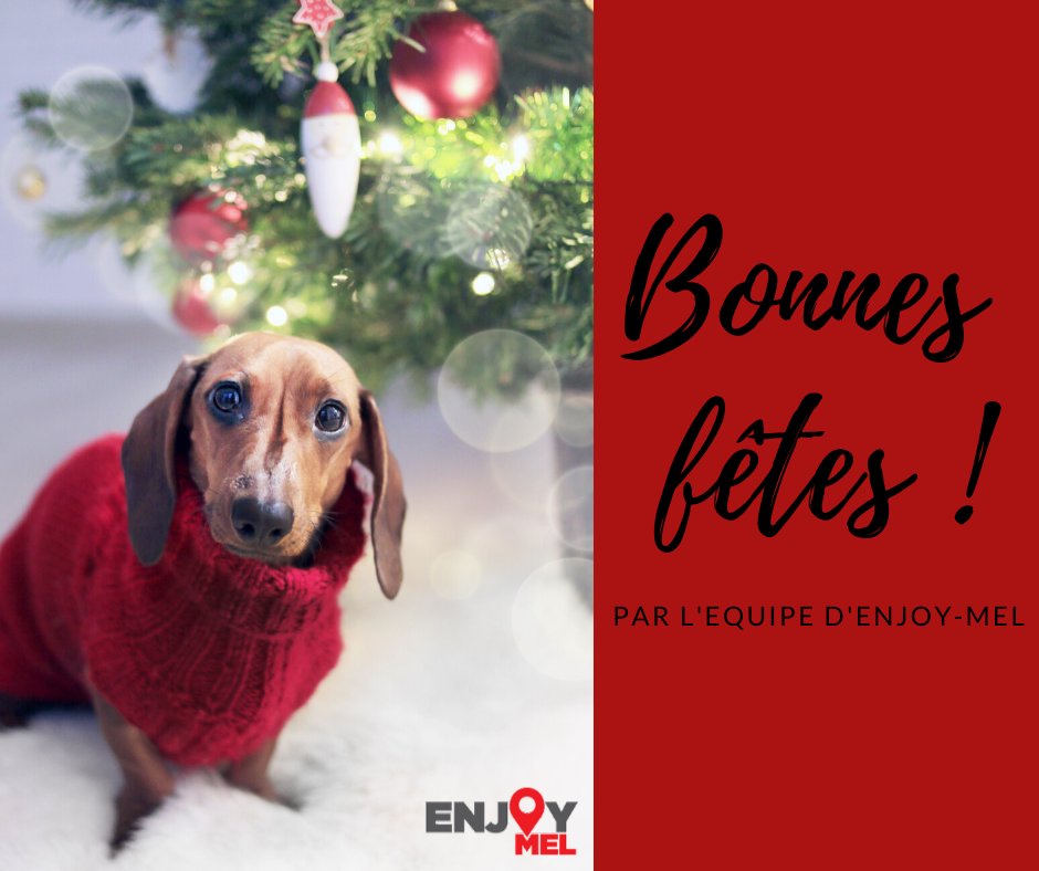 Enjoy-MEL tweet media