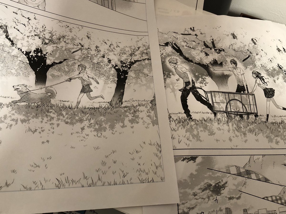 君とワンダーランド