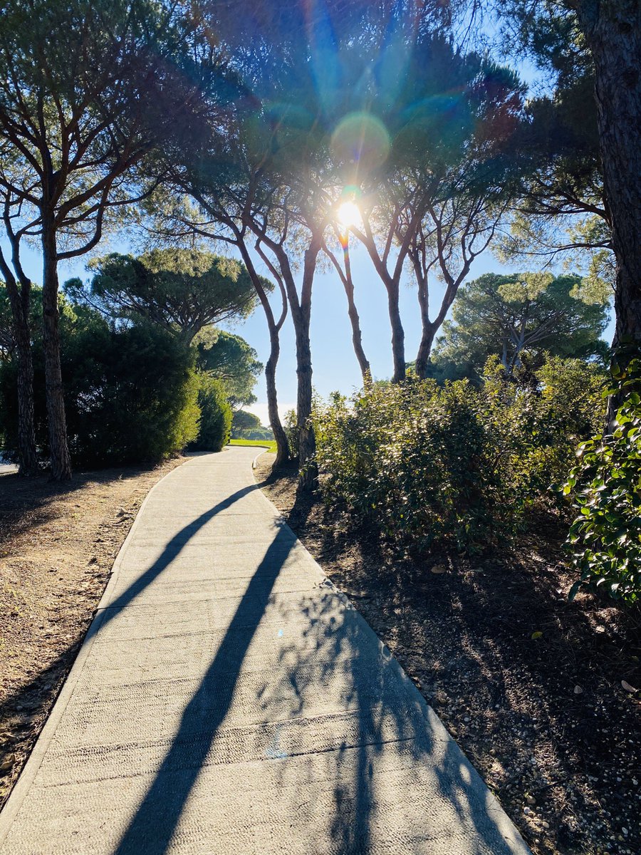Gorgeous morning for a long run through <a href="/QDLResort/">Quinta do Lago</a> 😍☀️