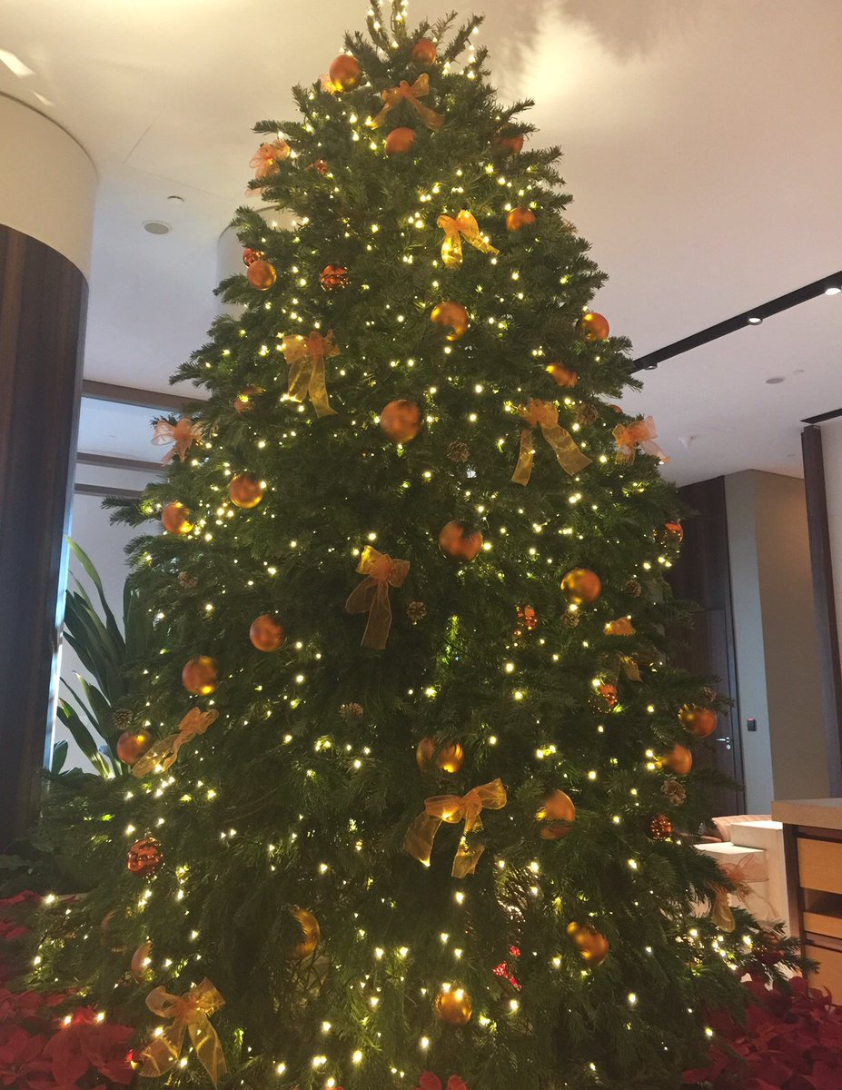 llthatmatters88's tweet photo. Merry X’mas🤶！from ANdAZ , Inter continental &amp; The Fullerton Hotel Singapore🎄
私はインタコに泊まったけどANdAZが新しくて眺めも良くて素晴らしかったです✨

#HSBCRainVortex https://t.co/gwiTu0HqMd