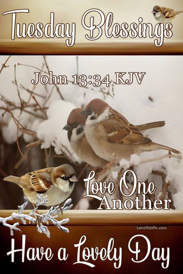 pic Tuesday Blessings Images Winter ms gwen on twitter tuesday