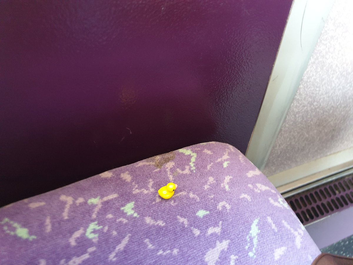 DuckMicro's tweet photo. On a @FirstLeicester bus adventure!
#microduck #ChristmasEve #JOY https://t.co/Zd6EXdZVvK